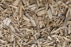 biomass boilers Sampford Brett